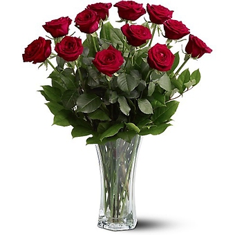 A Dozen Premium Red Roses