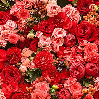 Love & Romance